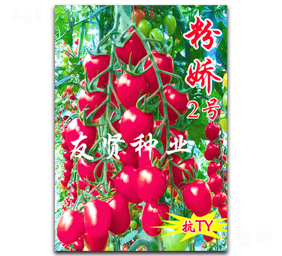 �۽�2��-��TY����ӣ��С��������-������ҵ