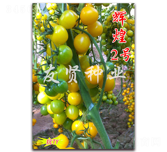 �Ի�2��-��TY����ӣ��С��������-������ҵ