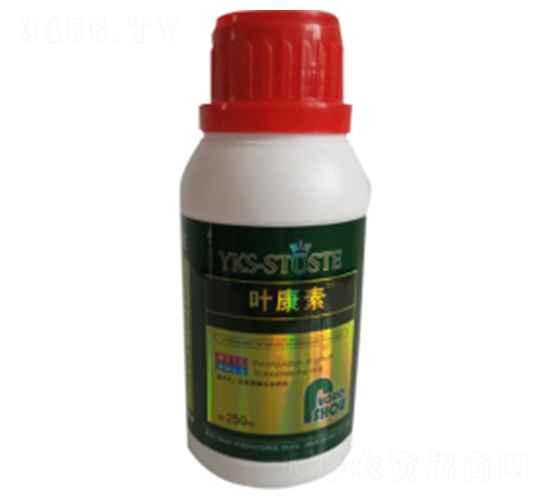 250ml������Ҷ���-Ҷ����-�ն���