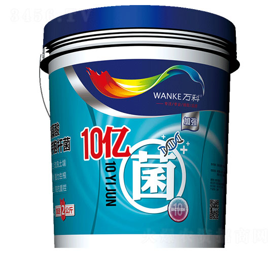 10�ھ�΢�������-���