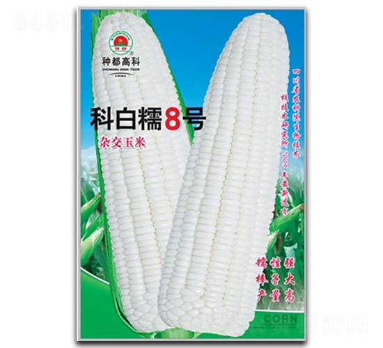 �ư�Ŵ8��-��������-�߿���ҵ