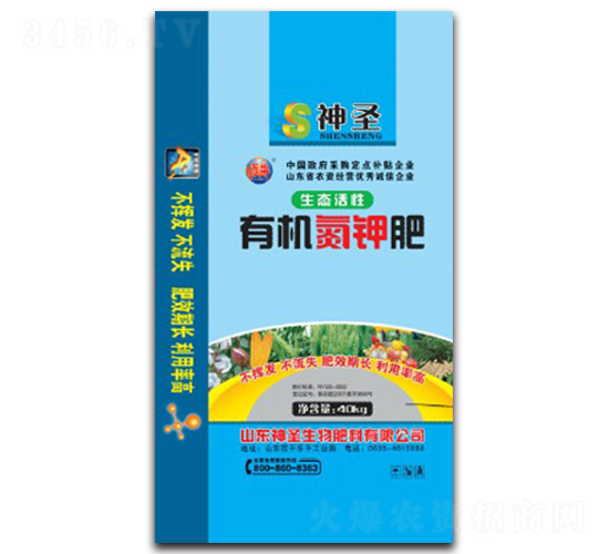 �л����ط�-��ʥ����