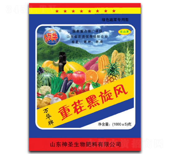 �ز������-��ʥ����
