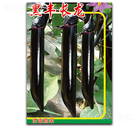 �ڷ᳤��-��������-�ѹ���ҵ