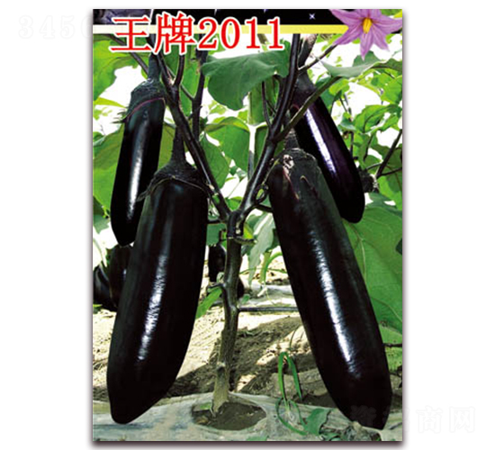 ����2011-��������-�ѹ���ҵ