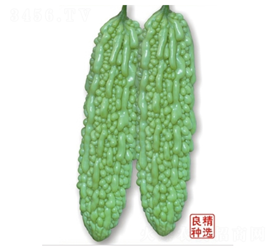 ��̩���-�������-�߿���ҵ