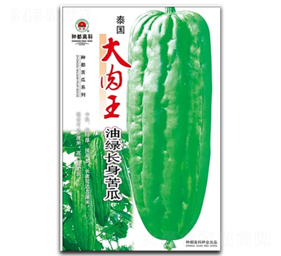 ̩��������-�������-�߿���ҵ