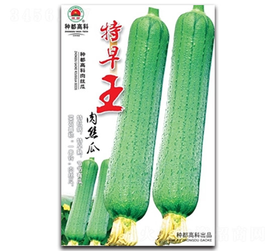 ��������˿��-˿������-�߿���ҵ