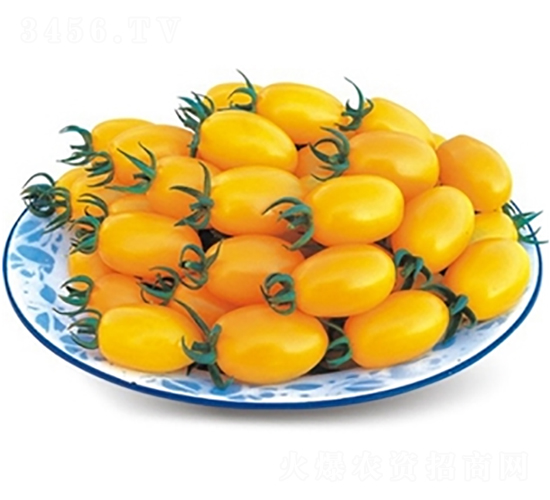 ŷ��-��������-�߿���ҵ