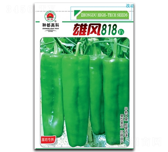 �۷�818-��������-�߿���ҵ