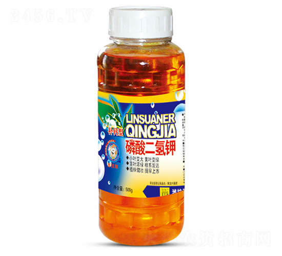 500g��������-ʥ����