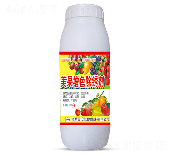 ������ɫ�����-ʥ����