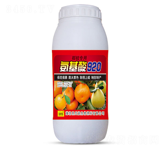 ������920-ʥ����