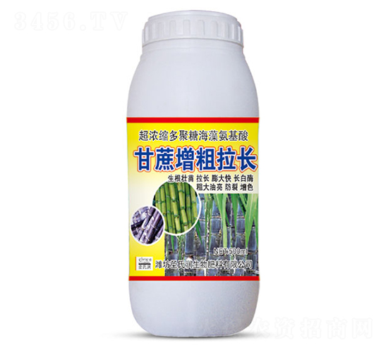 500ml������������-ʥ����
