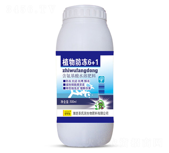 ֲ�����6+1-ʥ����