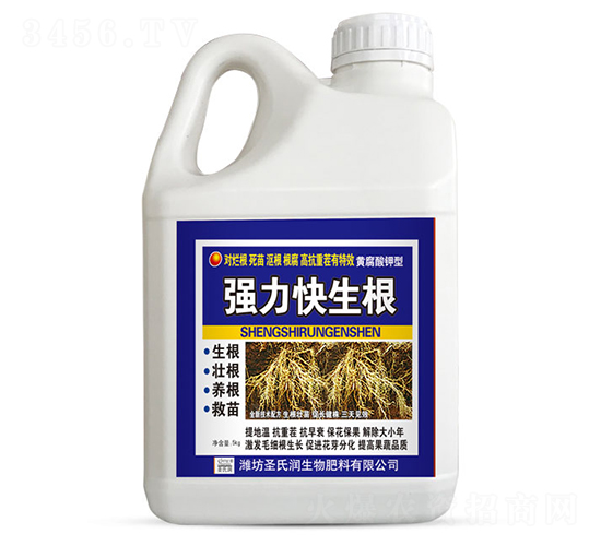 5kgǿ��������-ʥ����