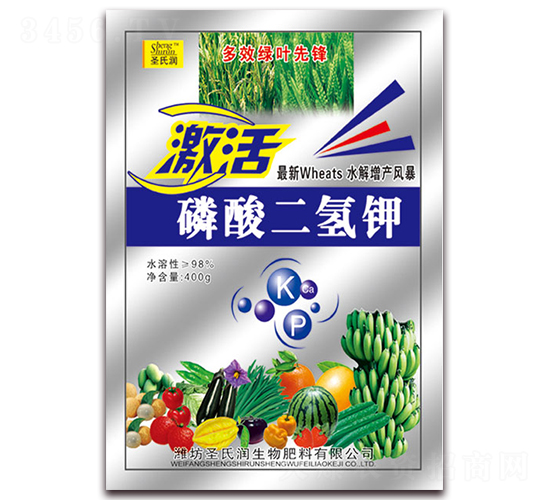400g��������-����-ʥ����