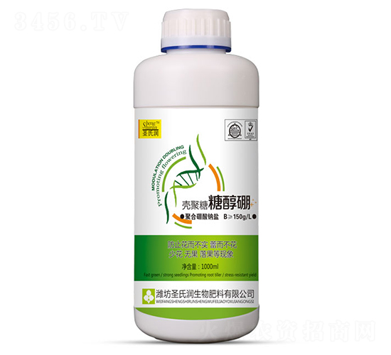 1000ml�Ǿ����Ǵ���-ʥ����