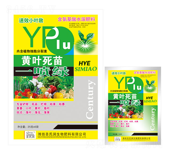 25g��Ҷ����һ����-ʥ����