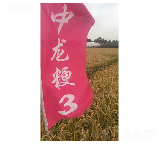 ������3��-С������-�����ҵ