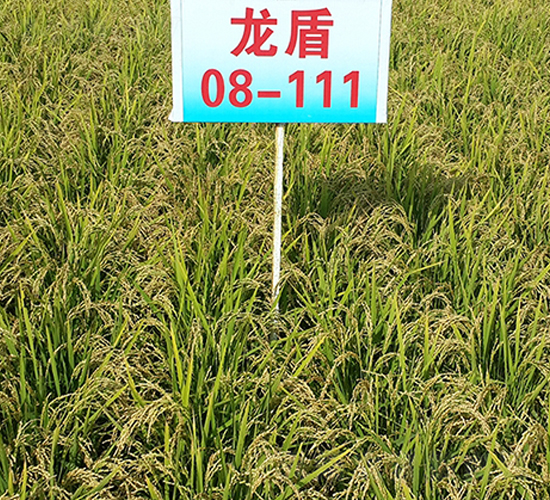 ����08-111-ˮ������-����ũҵ