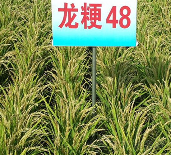 ����48-ˮ������-����ũҵ
