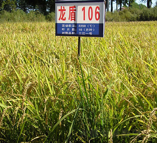 ����106-ˮ������-����ũҵ