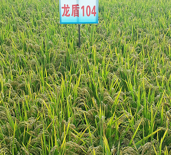 ����104-ˮ������-����ũҵ