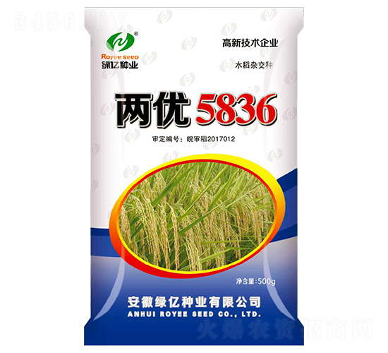 ����5836-������ҵ