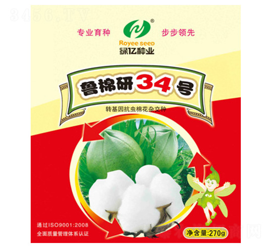 ³����34��-������ҵ