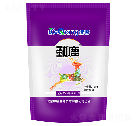20�ھ�̼֮��-��¹-�������