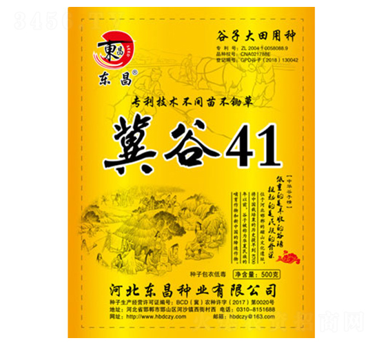 ����41-����