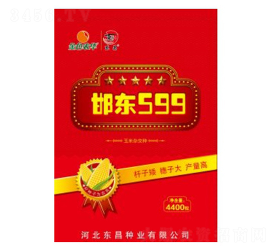 ����599-����