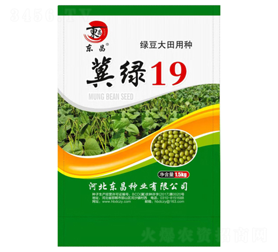 ����19-����
