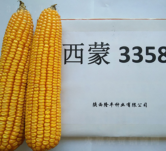 ����3358-¡����ҵ