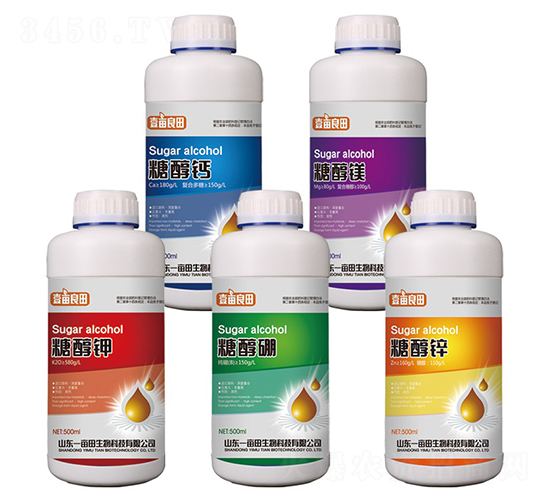 �Ǵ�ϵ��Ҷ��ʣ�500g��-ҼĶ����