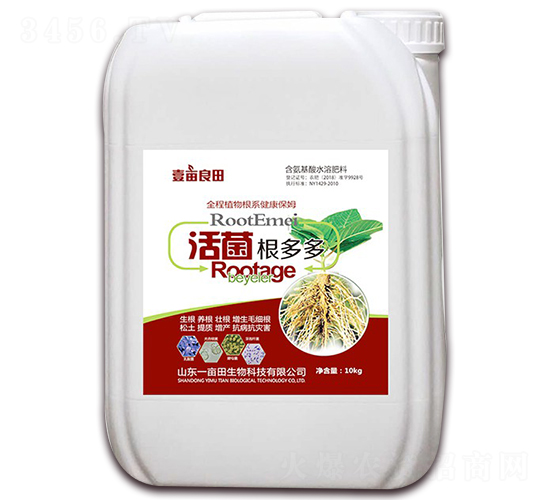 �������ࣨ10kg��-ҼĶ����
