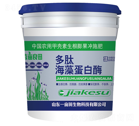 ���ĺ��嵰��ø-ҼĶ����