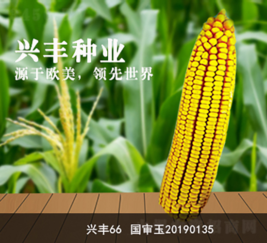 �˷�66-�˷���ҵ