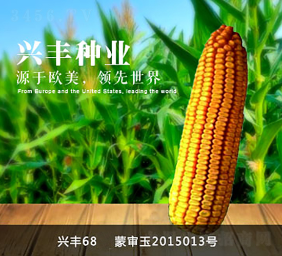 �˷�68-�˷���ҵ