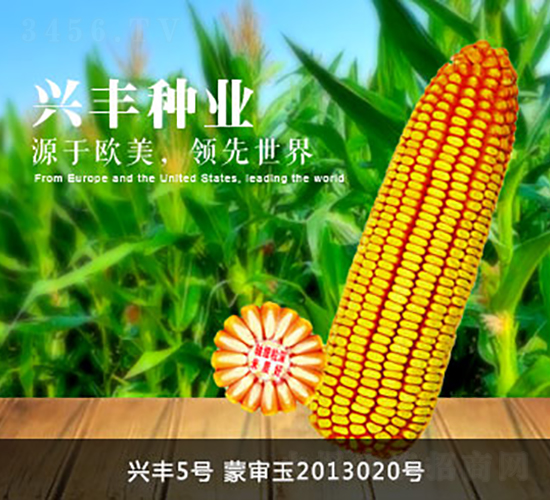 �˷�5��-�˷���ҵ