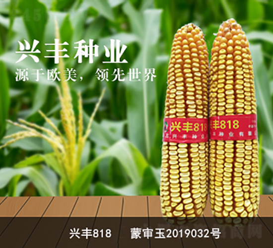 �˷�818-�˷���ҵ
