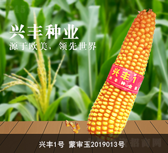 �˷�1��-�˷���ҵ