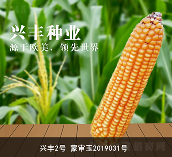 �˷�2��-�˷���ҵ