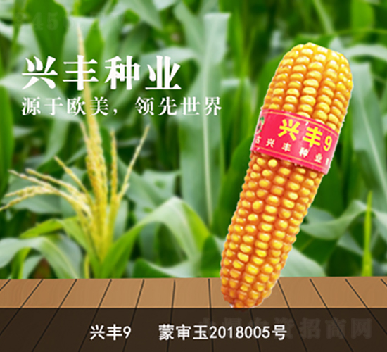 �˷�9-�˷���ҵ