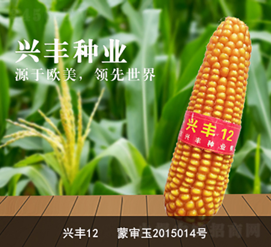 �˷�12-��������-�˷���ҵ