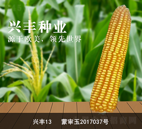 �˷�13-��������-�˷���ҵ