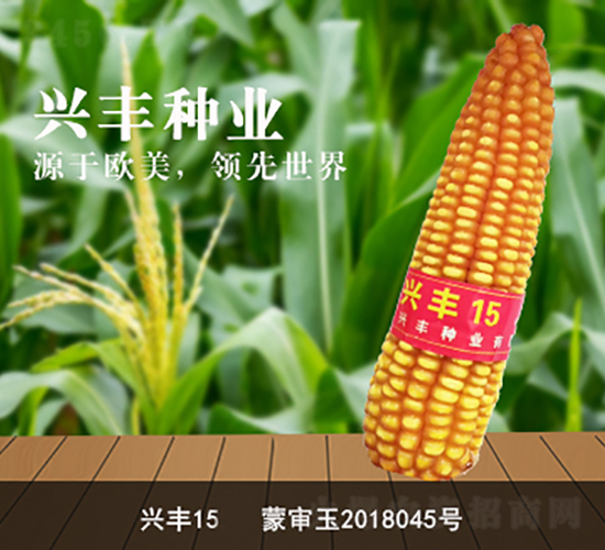 �˷�15-��������-�˷���ҵ
