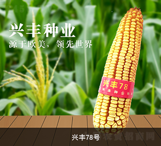 �˷�78��-��������-�˷���ҵ