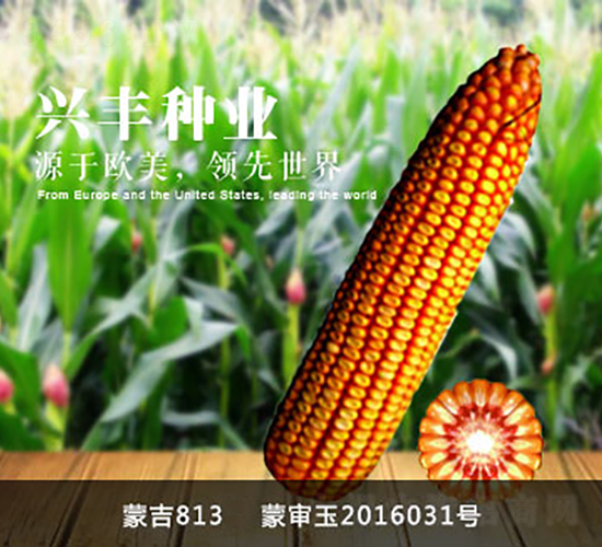�ɼ�813-��������-�˷���ҵ